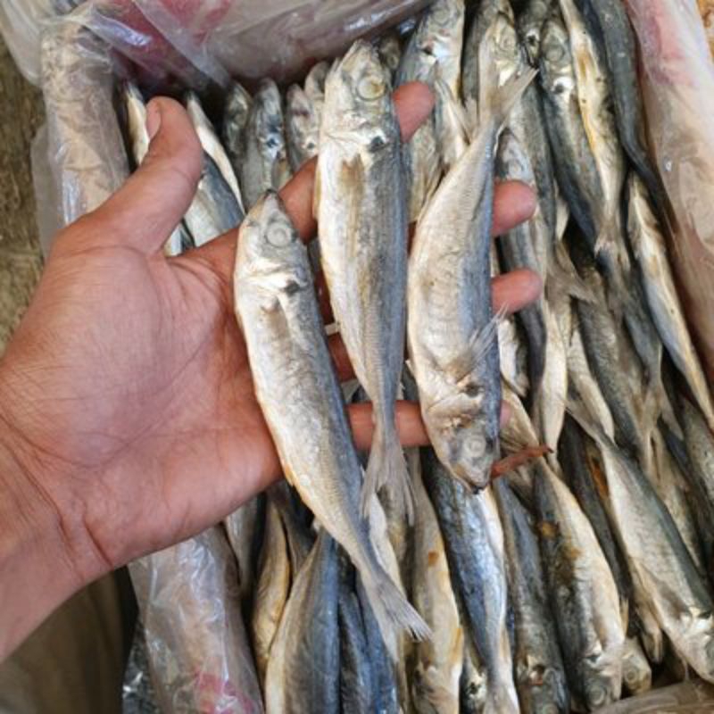 

ikan asin layang rebus 250gr