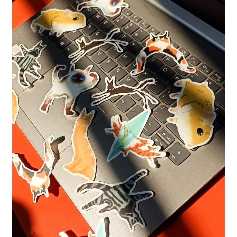 

Stiker kucing anomali/ Stiker die cut kucing anomali lucu/ stiker kucing laminasi lucu