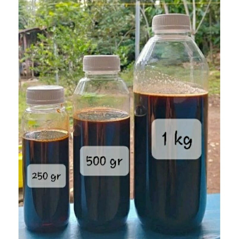 

MADU AKASIA 100% MURNI kemasan 1 kg