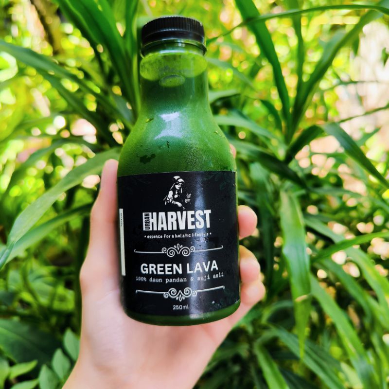 

Endapan Pandan Suji asli paket 3 botol