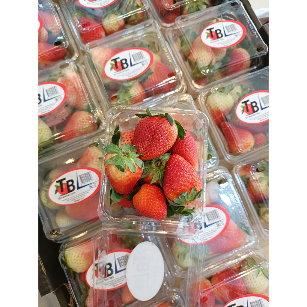 

STRAWBERRY AUSTRALIA - STRAWBERRY IMPORT - SUKABUAH