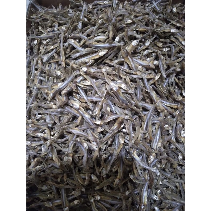

IKAN TERI BADAR JENGKI MEDAN SUPER PREMIUM