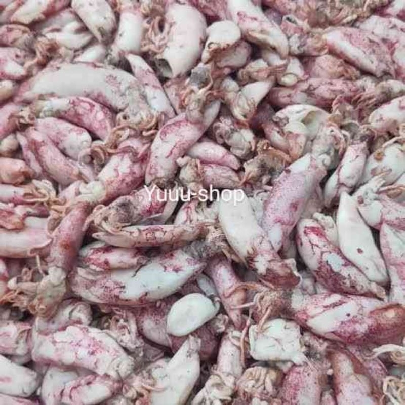 

Cumi Sotong Setengah Kering Cumi Asin 1kg Murah