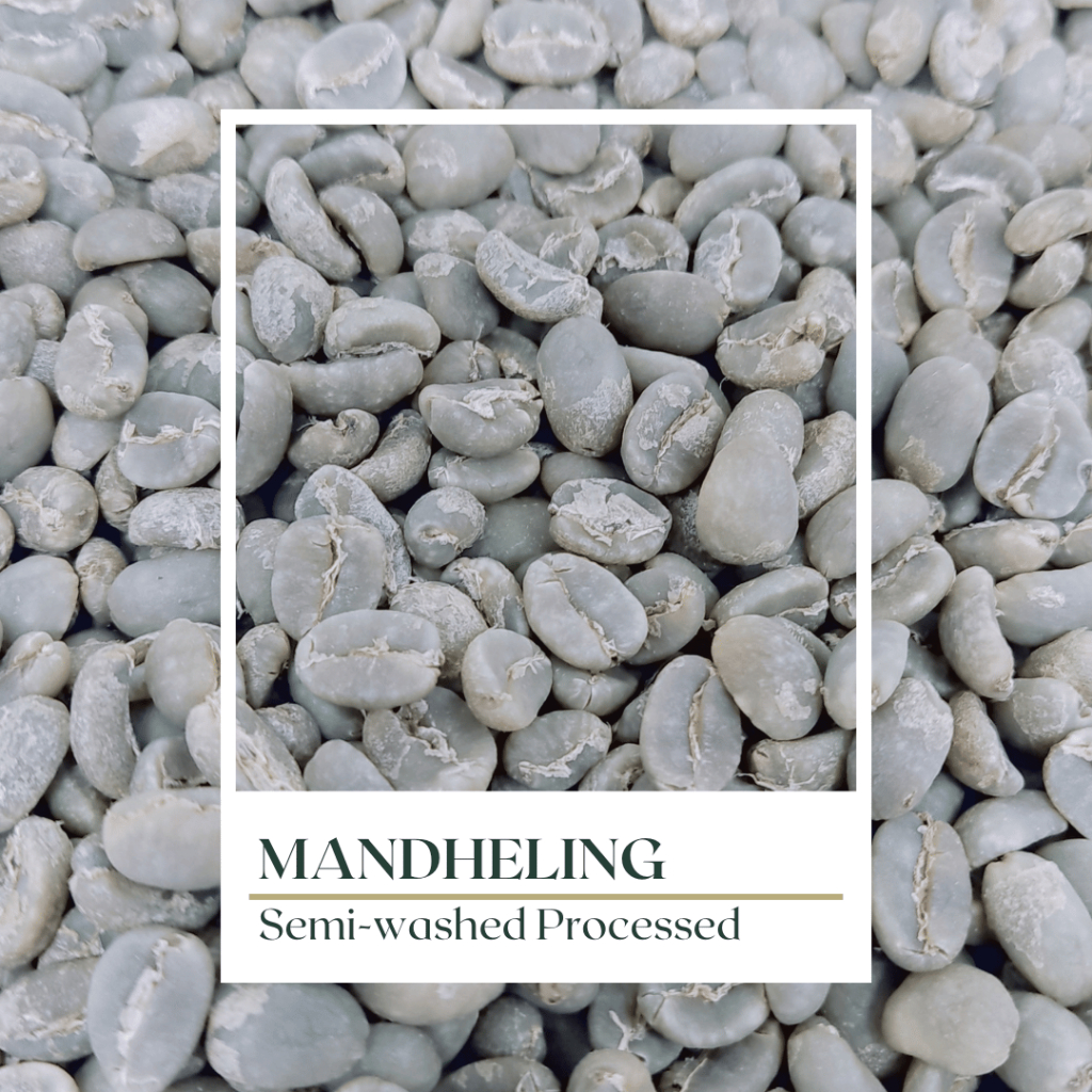 

Green Bean Arabica Mandheling Grade 1 Grade A Fine Grade