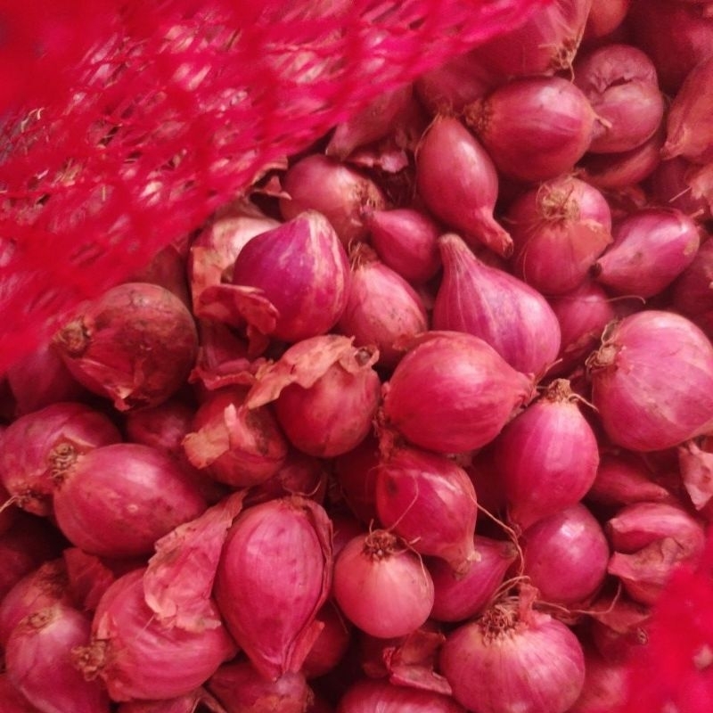 

Bawang Merah