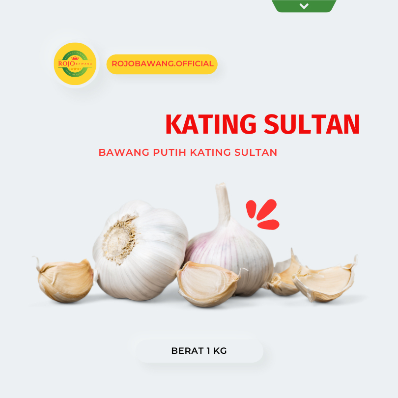 

BAWANG PUTIH KATING SULTAN 1 kg Kwalitas Premium