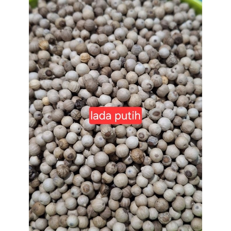 

Lada Putih/Lada Biji/Merica Putih/Lada Putih 100 Gram/Lada Putih 250 Gram/Lada Putih 500 Gram