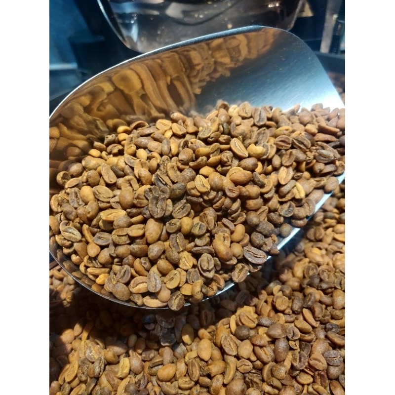 

GREEN BEANS GAYO WINE (45 HARI FERMENTASI) 1 Kg