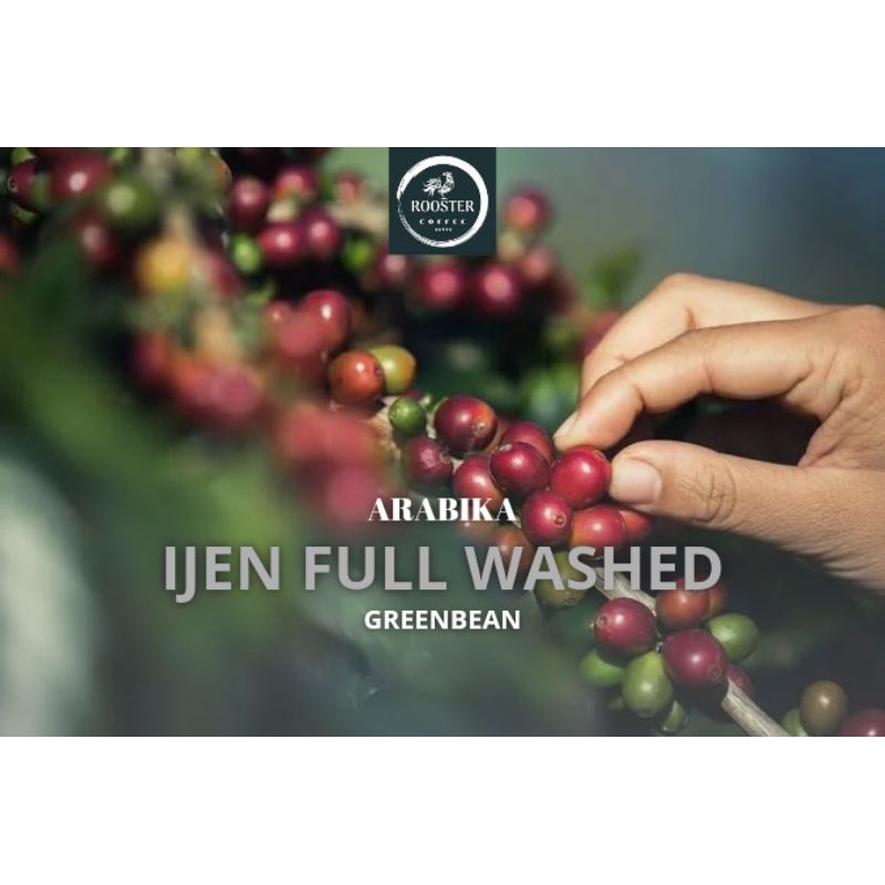 

GREEN BEAN IJEN FULL WASHED 5KG