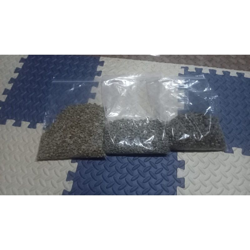 

biji kopi mentah arabika