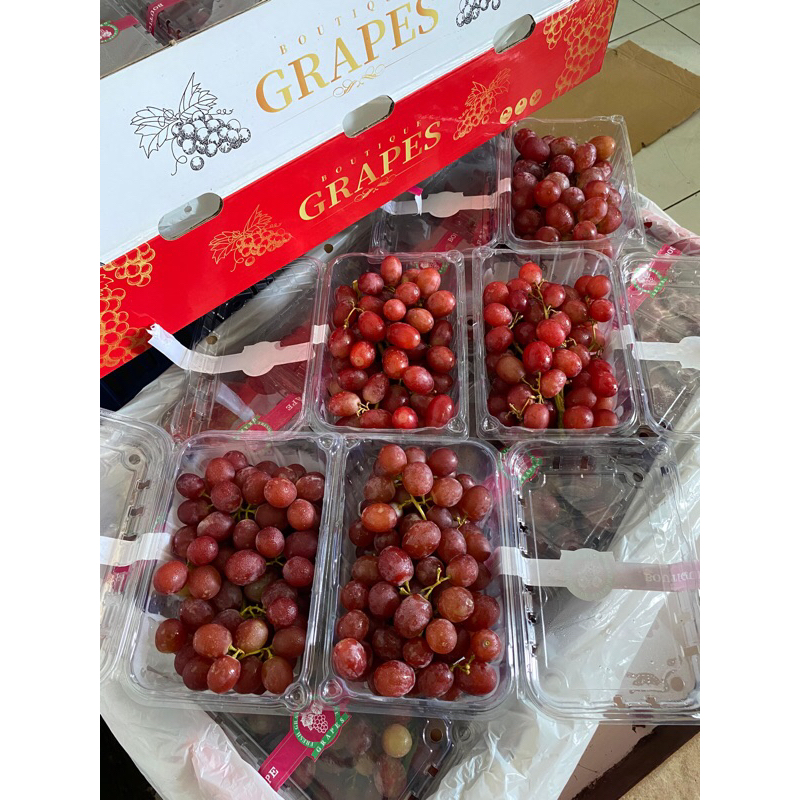 

ANGGUR RED ROSE TANPA BIJI