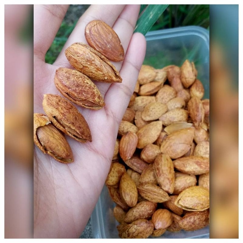 

KACANG ALMOND PANGGANG SUSU/KACANG ALMOND CANGKANG SUSU