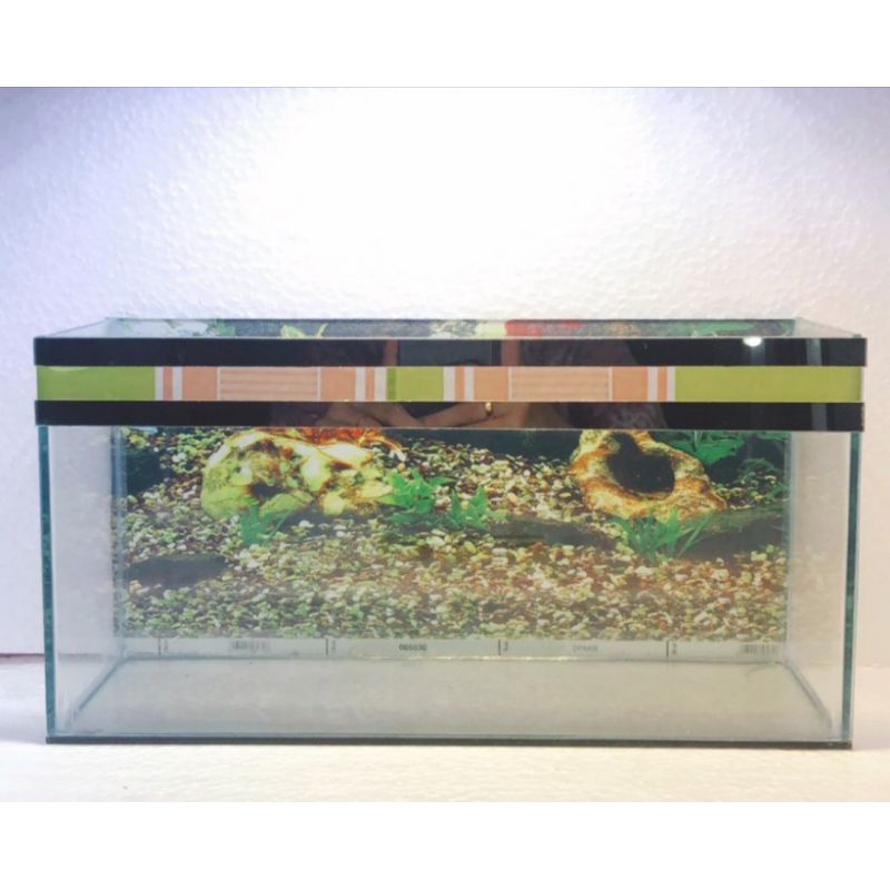 Aquarium Mini uk 30x10x15cm + background cocok untuk ikan cupang, guppy, molly dan kura2 brazil