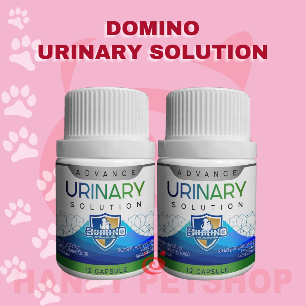 DOMINO URINARY SOLUTION | OBAT URINARY KUCING ANJING
