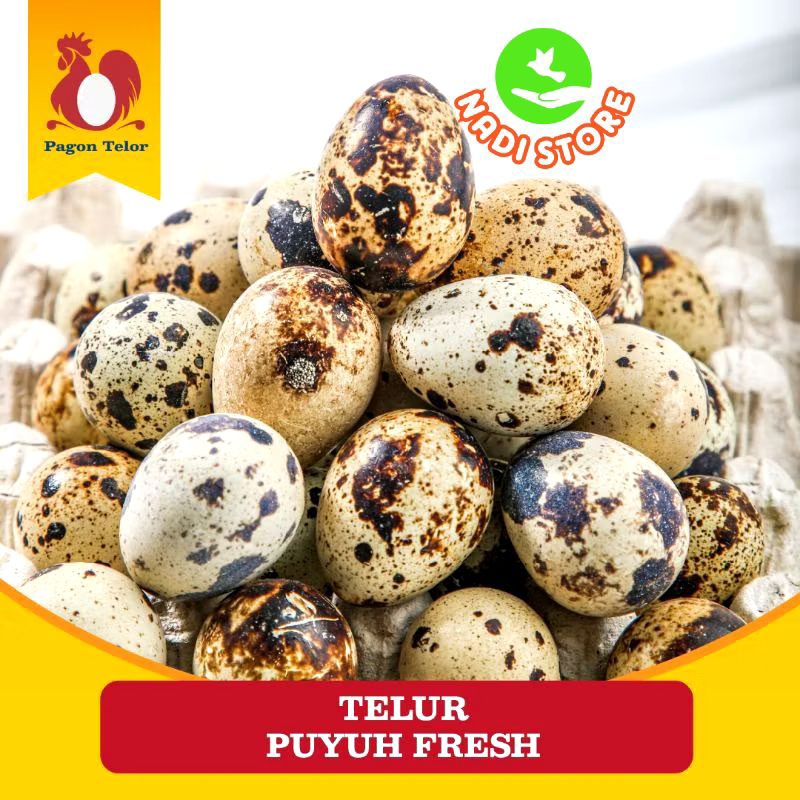 

Telor Puyuh Segar / mentah