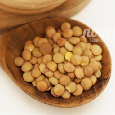 

Ay00! Brown Lentils 500gr