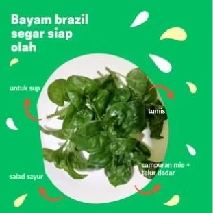 

Bayam Brazil Segar Siap Olah