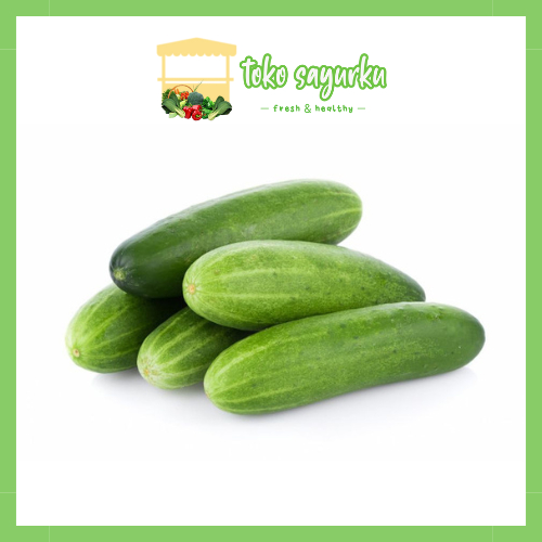 

Timun lokal segar 500 GR