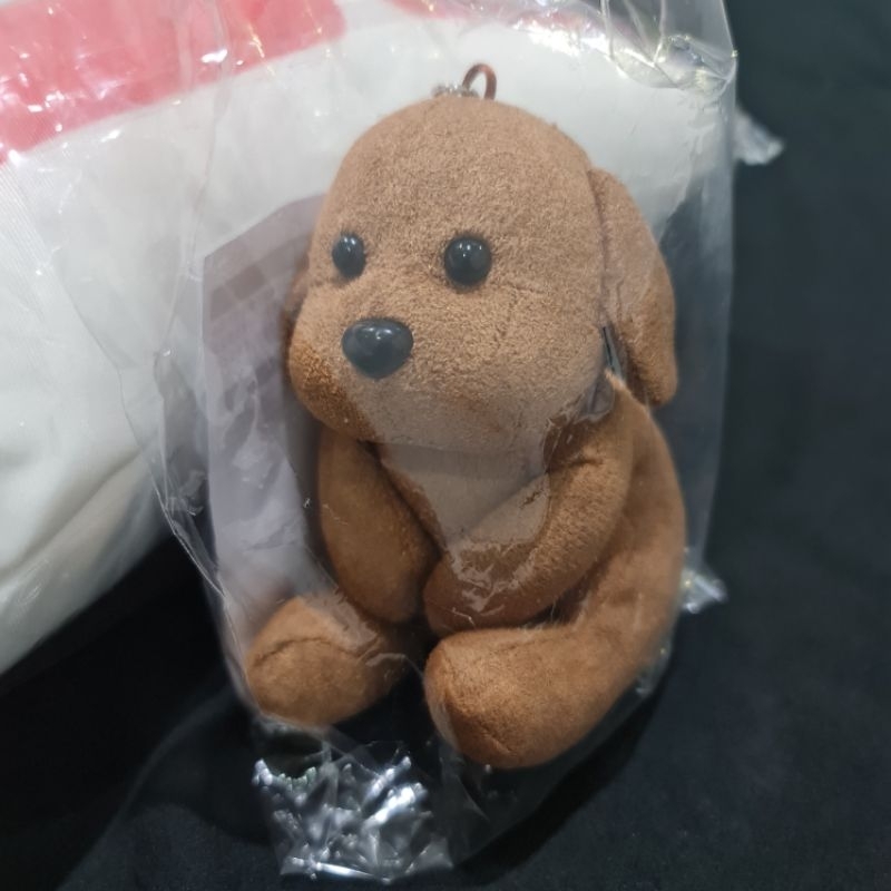 Sexy Zone/Timelesz inu mascot ambassador