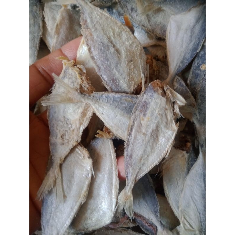 

IKAN ASIN SELAR BUNTUNG MURAH ENAK KEMASAN 500 GRAM