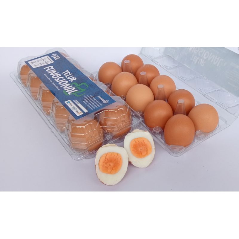 

TelorMoe omega 3 telur fungsional bersertifikat