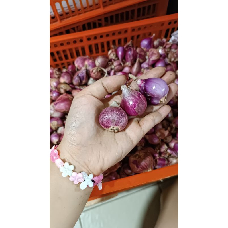 

Bawang Merah / Onion (100gr)