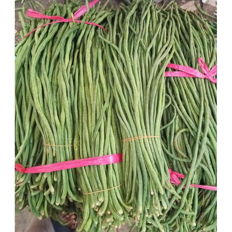 

kacang panjang 500 gram