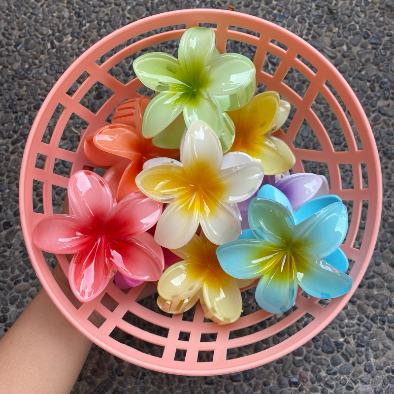 Jepit Rambut Bunga Kamboja Bali Jepitan rambut Cantik Model Bunga Kamboja Khas Wanita Bali