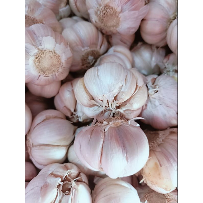 

bawang putih berat 500 grm kg