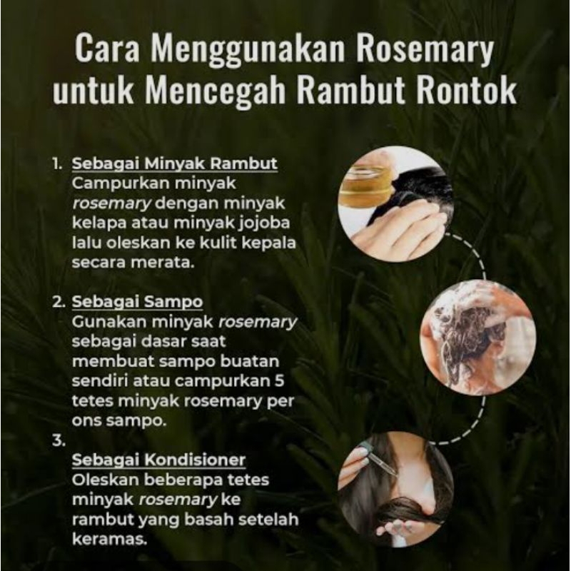 

Rosemary oil 250ml, 500ml, 1000ml/1L