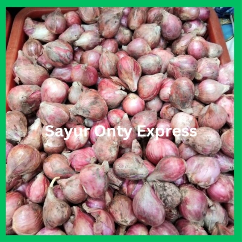 

Bawang Merah Brebes 1 kg Berkualitas