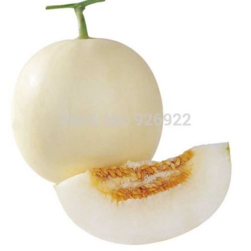 

Melon sweet 1 buah