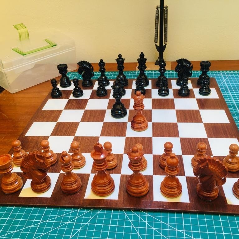 READY STOK] Catur Kayu Sawo Premium-Lion Hair Knights Golden Sapodilla Chess Set