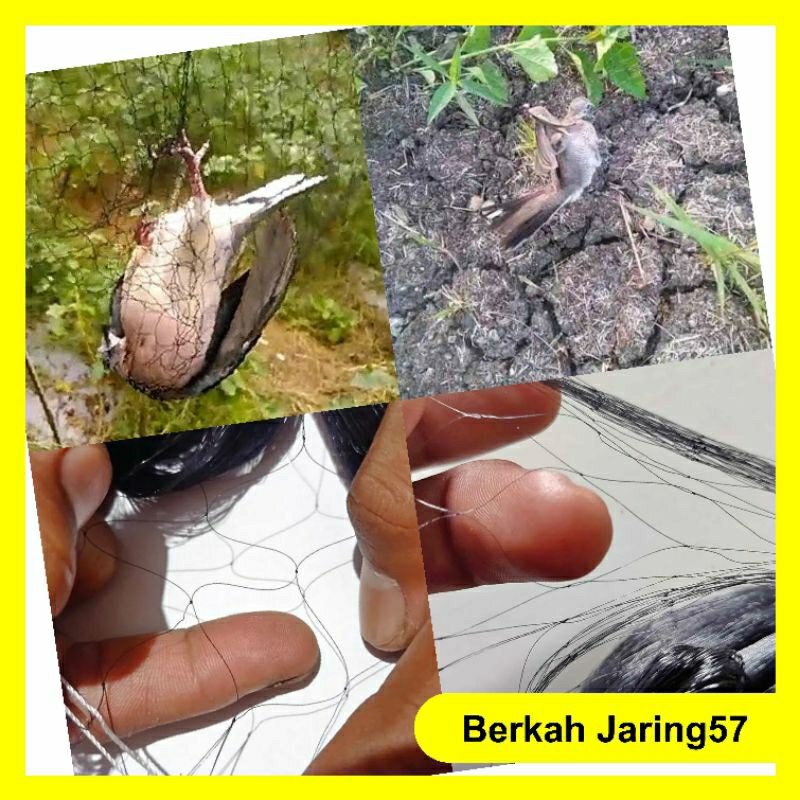 jaring burung/jaring burung perkutut/jaring burung kutilang/jaring burung siap pasang warna hitam