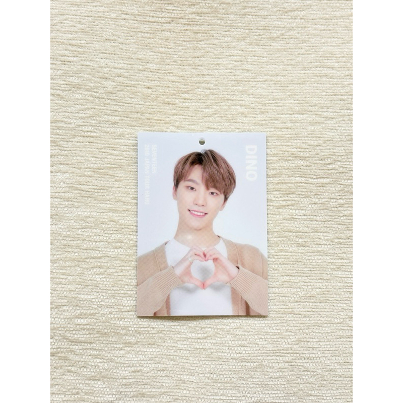 Seventeen DINO Photocard - Haru Tour (Tag)