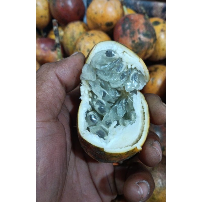 

MARKISA MADU FRESH KONYAL CIWIDEY 1KG YUK ORDER