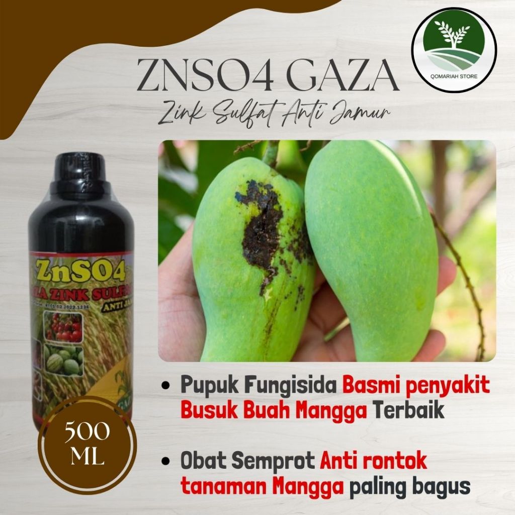 pupuk fungisida busuk buah mangga terbaik - ZNSO4 GAZA 500ML - pupuk cair anti rontok tanaman mangga