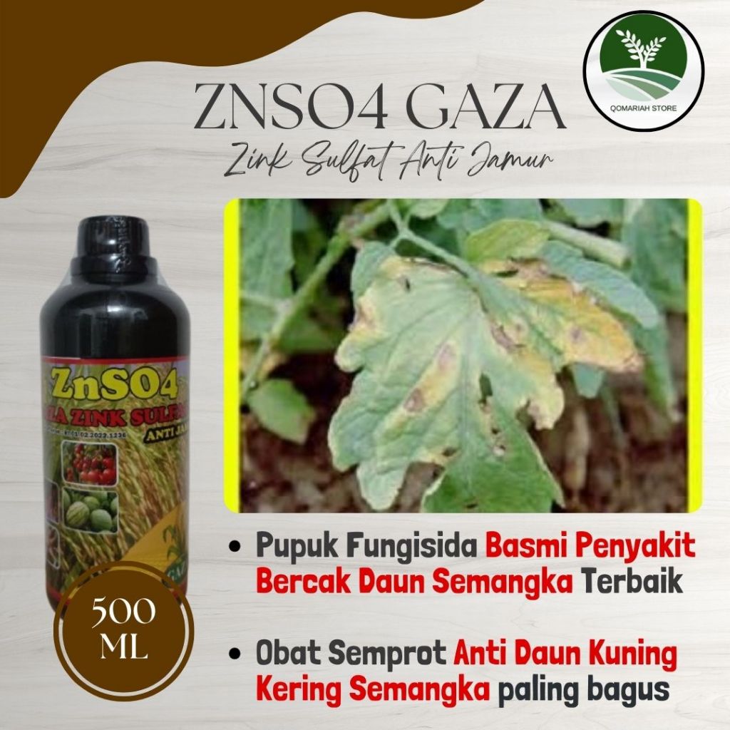 Obat Bercak Daun Semangka Terbaik - ZNSO4 GAZA - Fungisida busuk daun semangka paling ampuh - pupuk 