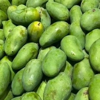 

mangga harum manis jawa perkg