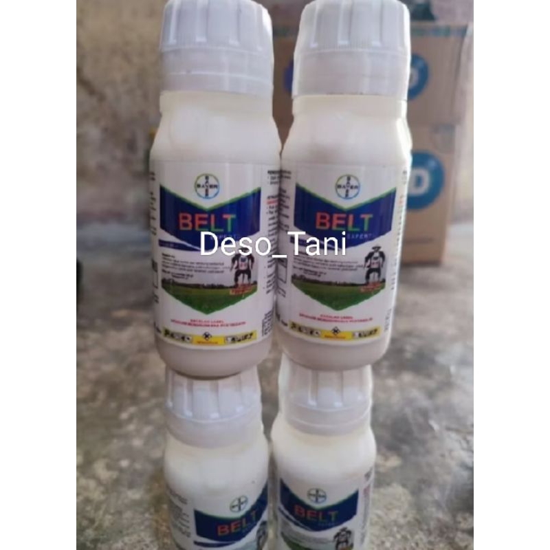 Belt Expert 480SC 100ml