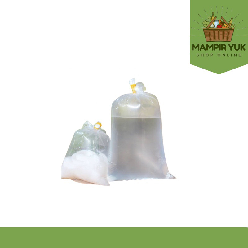 Air kelapa murni 1 botol / plastik | mampiryuk