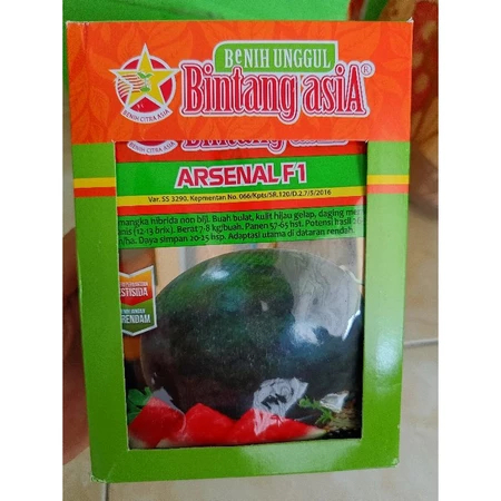 Benih semangka Hibrida non biji ARSENAL F1 Kemasan 20gr