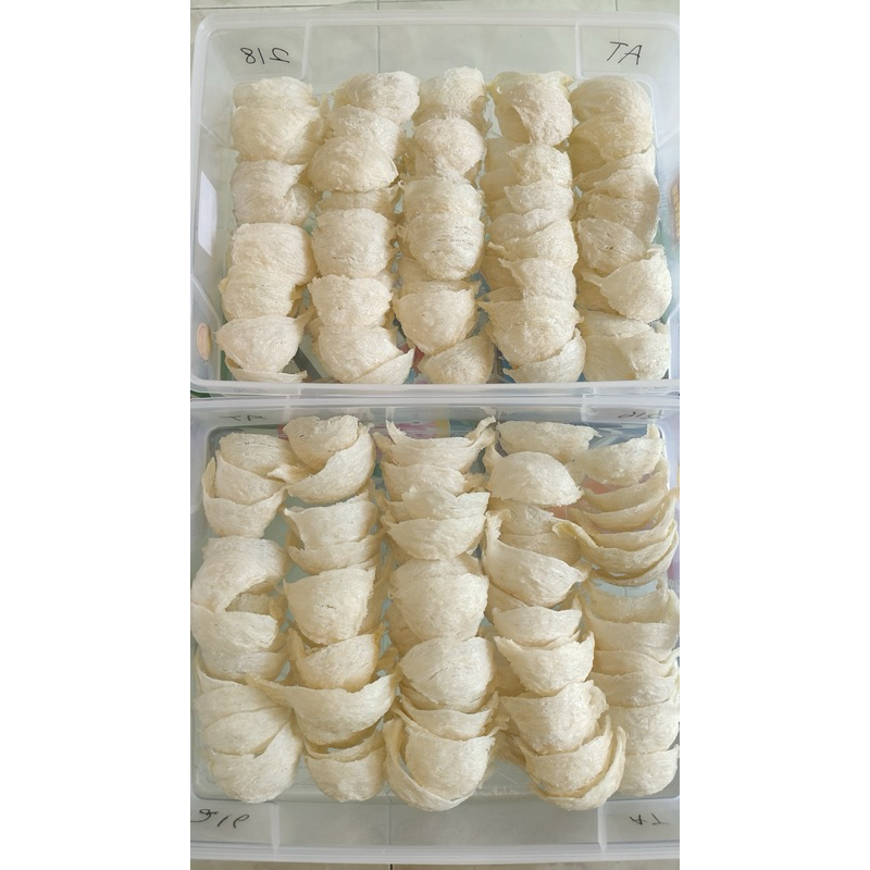 

sarang burung wallet yenwo export quality 100gr