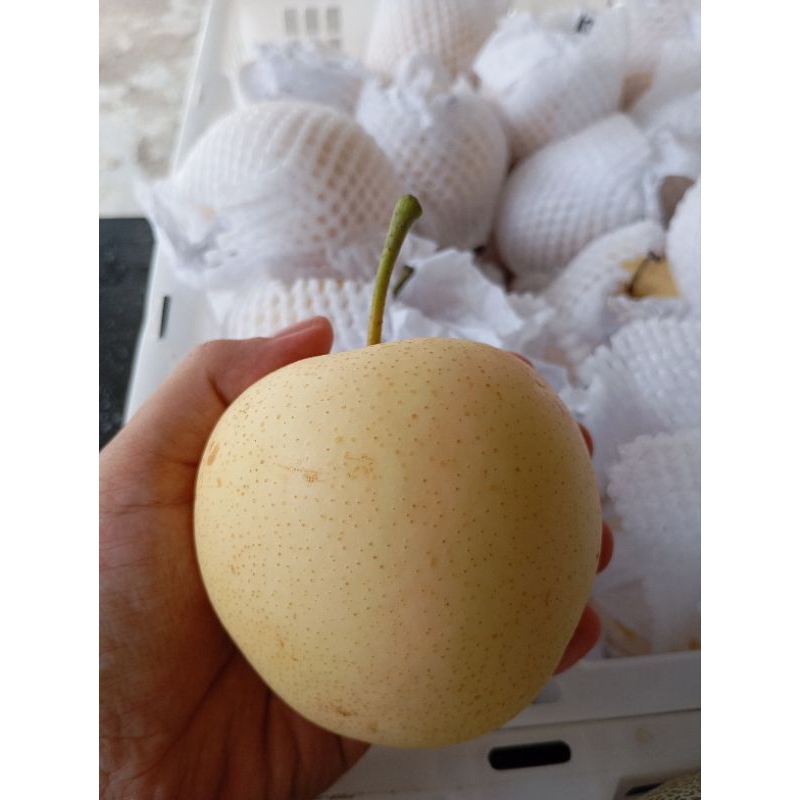 

Pir Manis 1kg