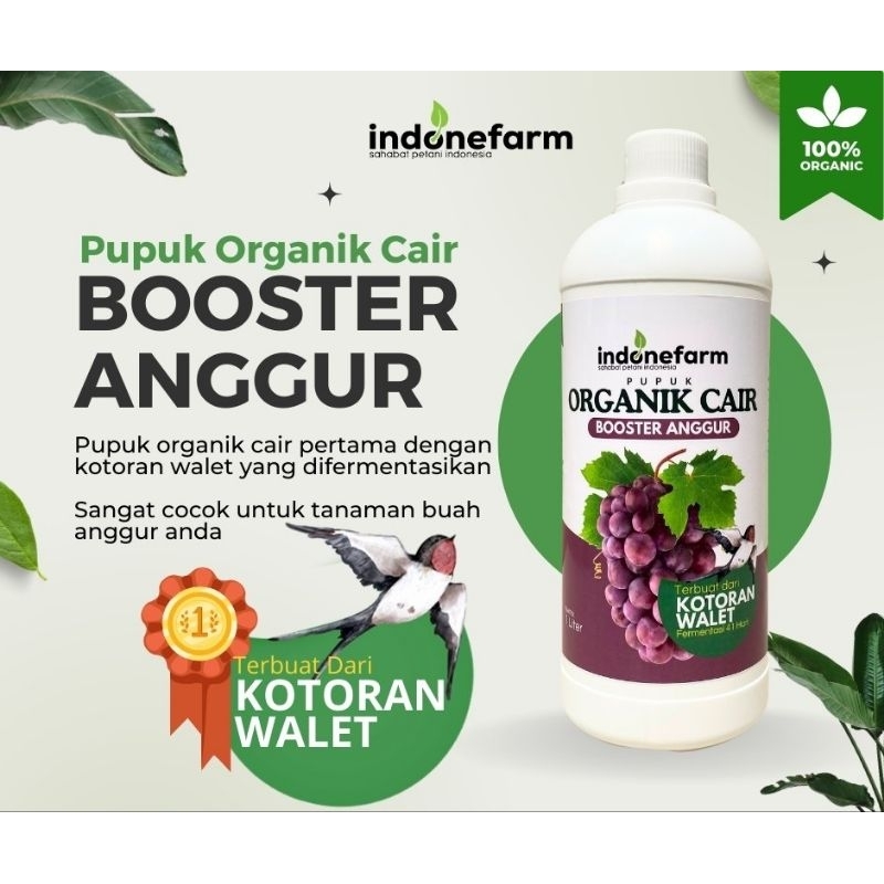 PUPUK KOTORAN WALET | COR ORGANIK BUAH ANGGUR | Terbuat Dari Kotoran Walet Asli | Fermentasi 41 Hari