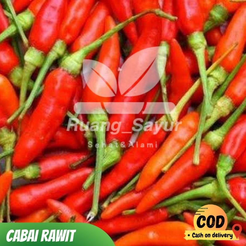 Cabai Rawit Pedas , Cabai Pedas Original , Lombok Rawit , Lombok Prentul