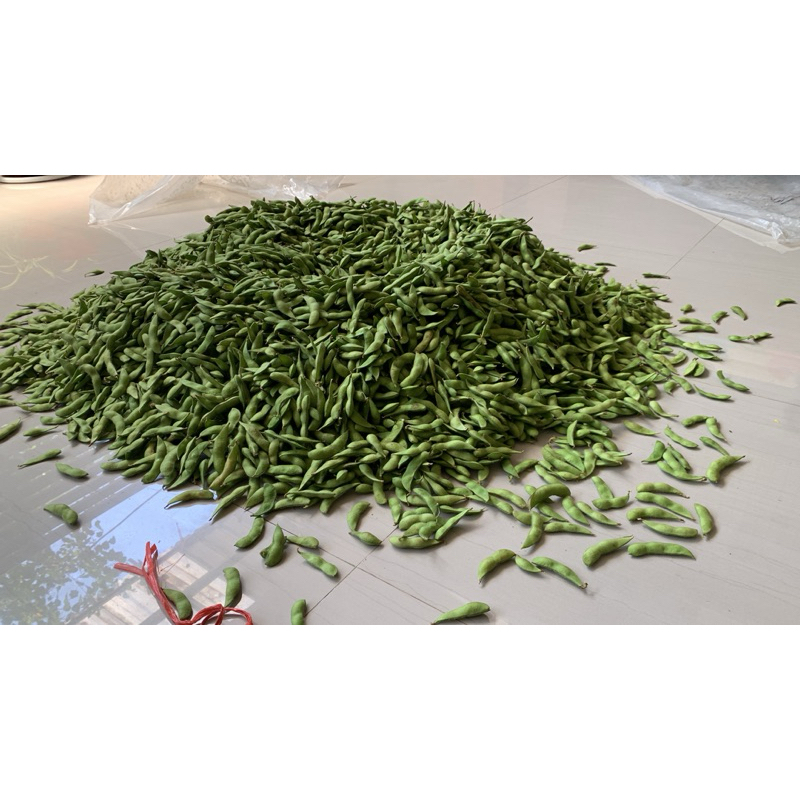 Edamame Mentah
