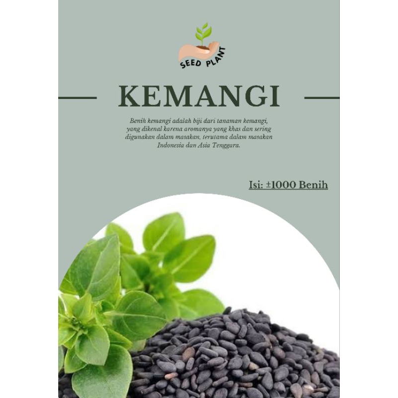 BENIH KEMANGI | KEMANGI | BENIH UNGGUL | BIBIT KEMANGI | BIJI KEMANGI | MURAH | PROMO