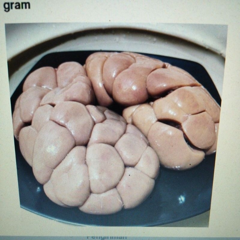 

Ginjal Sapi 500 gram