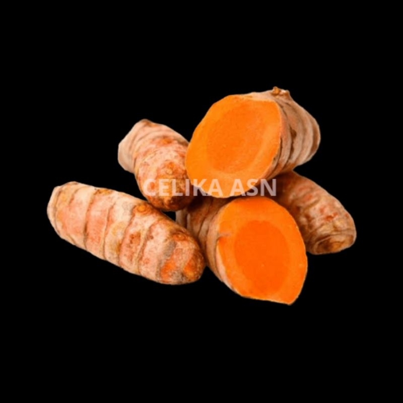 

Kunyit Kuning 100gr Kunir Kuning Turmerij Bumbu Rempah Jamu Makanan